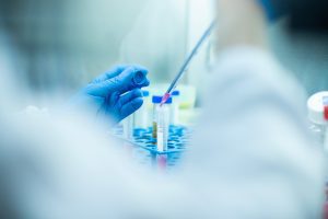 Building and Embedding Research Culture in a Local Authority